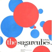 The Sugarcubes - Cat - Icelandic Version