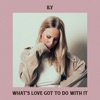 What's Love Got to Do with It - Single