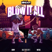 Blow It All artwork