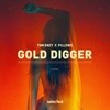 Gold Digger - Single
