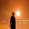 Raw Beats Volume 1