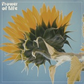 Flower of Life - EP artwork
