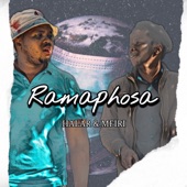 Ramaphosa artwork