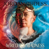 Wired for Madness artwork