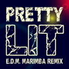 Pretty Lit (E.D.M. Marimba Remix by Dj Louis Francesco and Josephina Tomlinson) - Marimba Remix