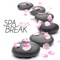 Age of Aquarius - Spa Music Dreams lyrics