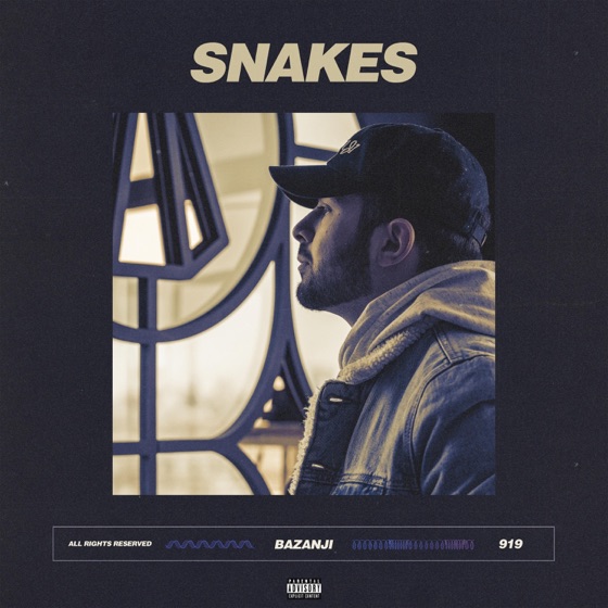 Cover artwork for Snakes