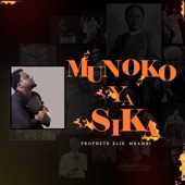 Munoko ya sika artwork