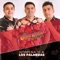 Homenaje a los Palmeras - Los Bam Band Orquesta lyrics