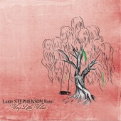 Larry Stephenson Band - Yesterday's Gone