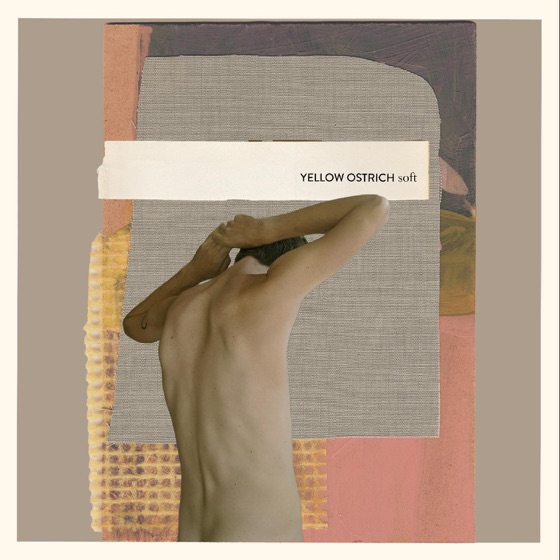 Cover artwork for Timothy