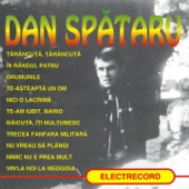 Dan Spataru - Drumurile
