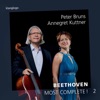 Peter Bruns - Cello Sonata No. 3 in A Major, Op. 69: I. Allegro ma non tanto