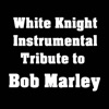 Instrumental Tribute to Bob Marley
