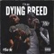 Dying Breed (feat. YBS Skola) - TyTrey lyrics