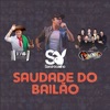 Saudade do Bailão (feat. João Luiz Corrêa & Rainha Musical) - Single