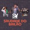 Saudade do Bailão (feat. João Luiz Corrêa & Rainha Musical) artwork