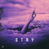 Stay - Single