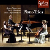 Piano Trio in G Minor, Op. 17: IV. Allegretto artwork