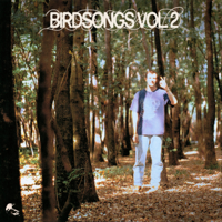 Baird - BIRDSONGS, Vol. 2 artwork