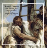 Das Leiden Jesu: Passion Cantatas, Vol. 4 artwork