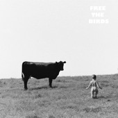 Free The Birds - Burn Through (The Other Side)