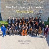 Variations - The Arab Jewish Orchestra artwork