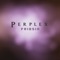 Perplex - Friosin lyrics