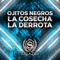 Ojitos Negros, la Cosecha, la Derrota - Jr Salazar lyrics