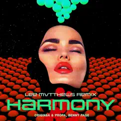 Harmony (Lee Mvtthews Remix) Song Lyrics