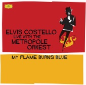 Elvis Costello - Upon a Veil of Midnight Blue