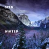 Wasted - Single