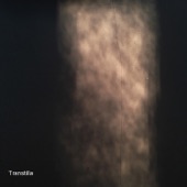 Transtilla - Skura