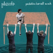 Padokba Karcolt Nevek - EP artwork