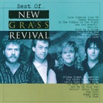 New Grass Revival - Let Me Be Your Man