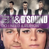 Do I Need a Reason artwork