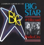 Big Star - thirteen