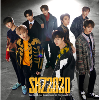 Stray Kids - SKZ2020 artwork