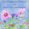 Entspannungsmusik und Meditationsmusik - Hintergrundmusik und Einschlafmusik zum Entspannen und Meditieren