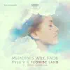 Memories Will Fade (feat. Mitch Thompson) song lyrics