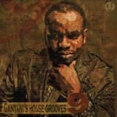 Ganyani's House Grooves 9 artwork