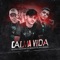 Calma Vida (feat. Mc Bryan SS & MC Rafa Original) - Dj Camilo Vinicius lyrics