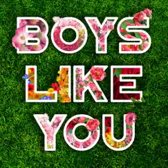 Boys Like You Song Lyrics