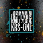 Jackson Whalan - From the Woods (feat. KRS-One)