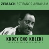 Estifanos Abraham Zemach - Semira
