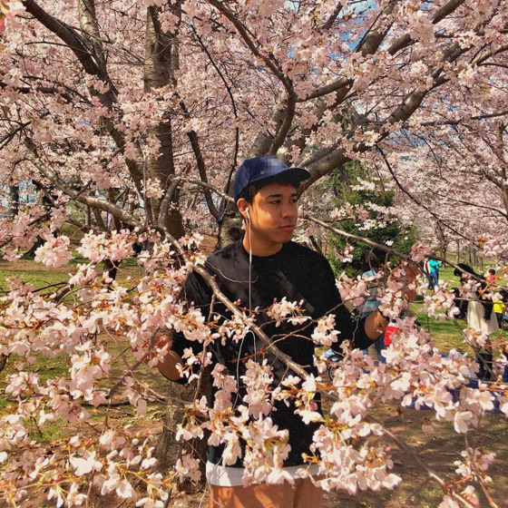 Cover artwork for Gaijin