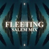 Fleeting (Remix) - Single