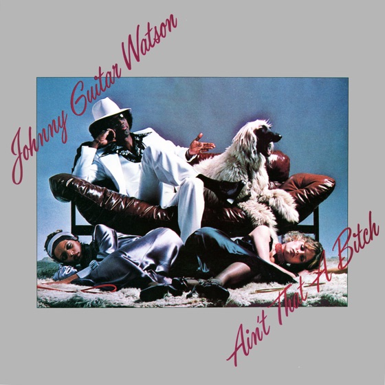 Cover artwork for Superman Lover