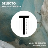 Voice of Casiopea artwork