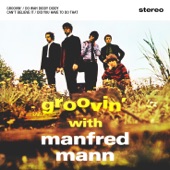 Manfred Mann - Did You Have to Do That